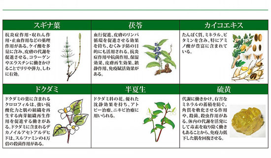 ハーブの成分
