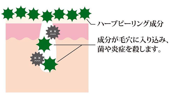 ハーブ成分のイメージ