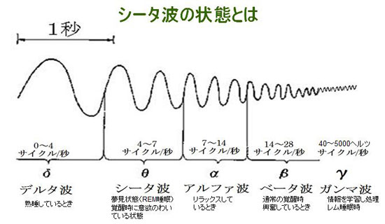 脳波の種類