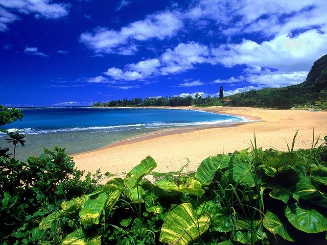 ハワイKauaiビーチ