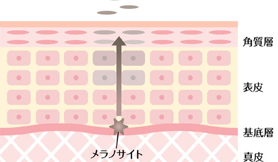 フォトフェイシャルでシミ改善