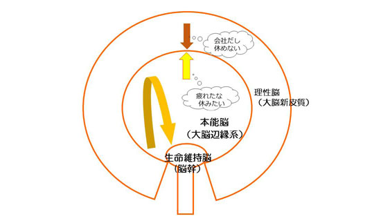 脳とストレス