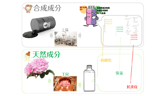 合成とオーガニックの化粧品