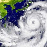 2019年の台風